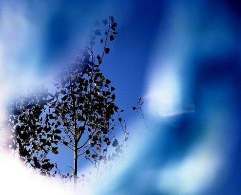 Alina Andrei - Rosu peste albastru, plus alte combinatii