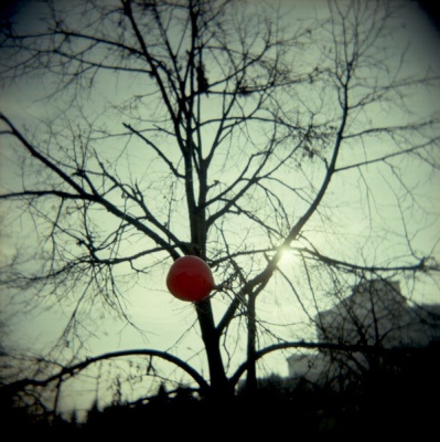 Alina Andrei - Asteptand