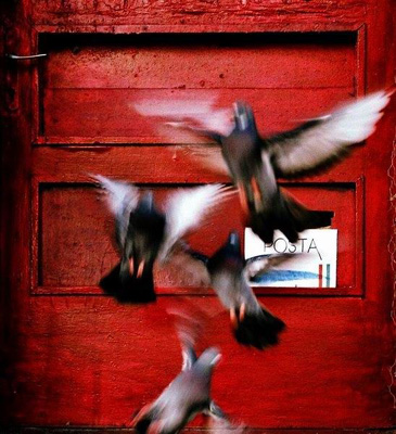 Alina Andrei - Rosu peste albastru, plus alte combinatii