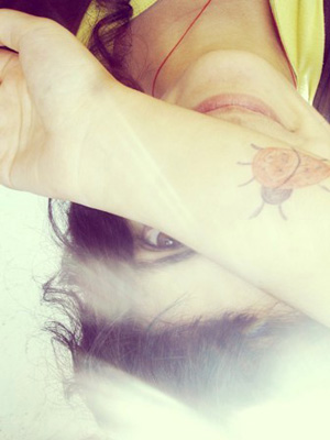 Alina Manolache - In igluuri inversate, macii