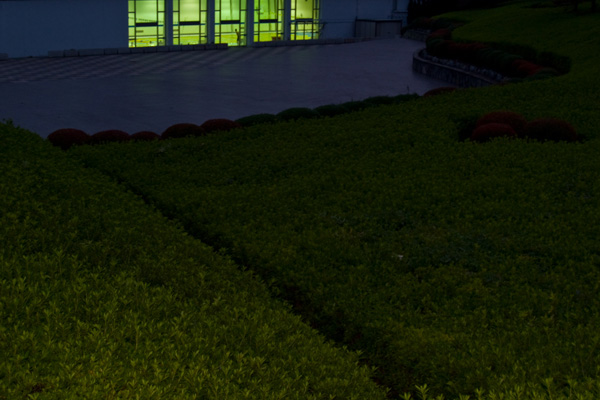 Alma Cazacu - Good Night Records