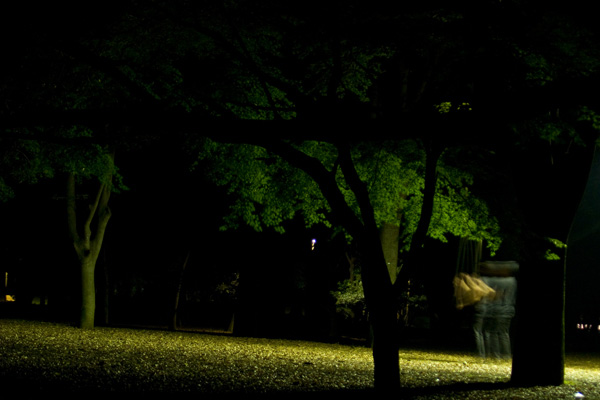 Alma Cazacu - Good Night Records