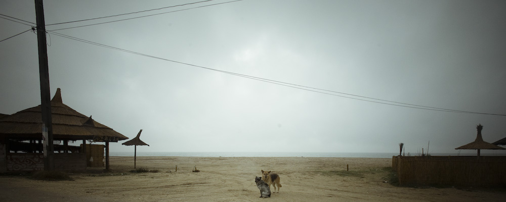 Andrei Spirache - Vama