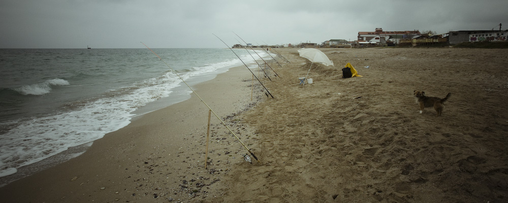 Andrei Spirache - Vama