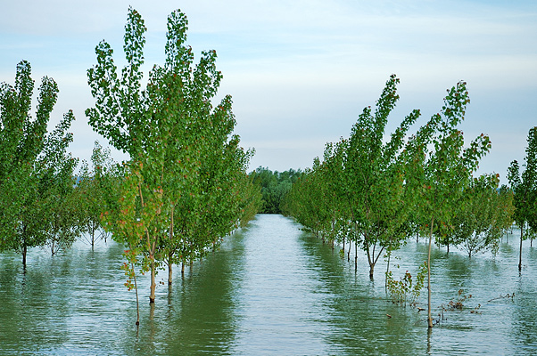 Camil Tulcan - The best way to escape from my time