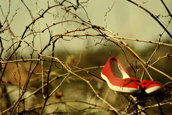 Cristina Grosan - >7