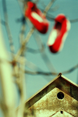 Cristina Grosan - >7