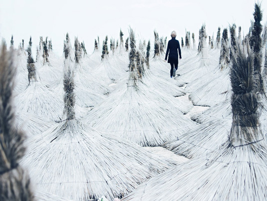 Elena Ciobanu - Locuri din ultima zi