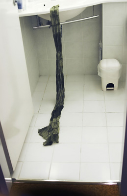 Elena Ciobanu - Hotel