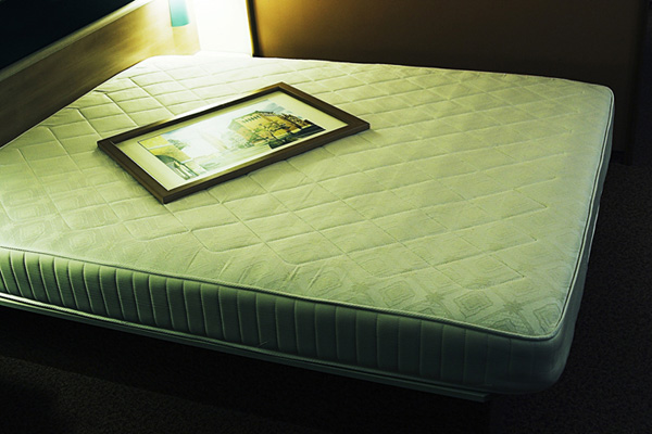 Elena Ciobanu - Hotel