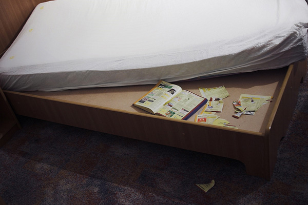 Elena Ciobanu - Hotel