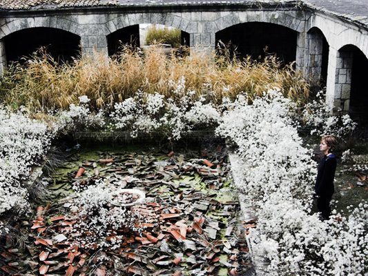 Elena Ciobanu - Locuri din ultima zi