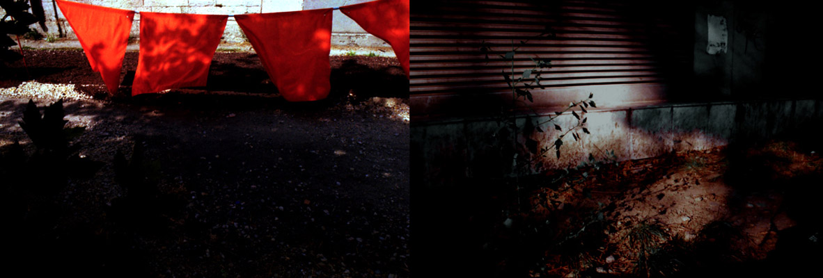 Gabriela Iacob - Urbane