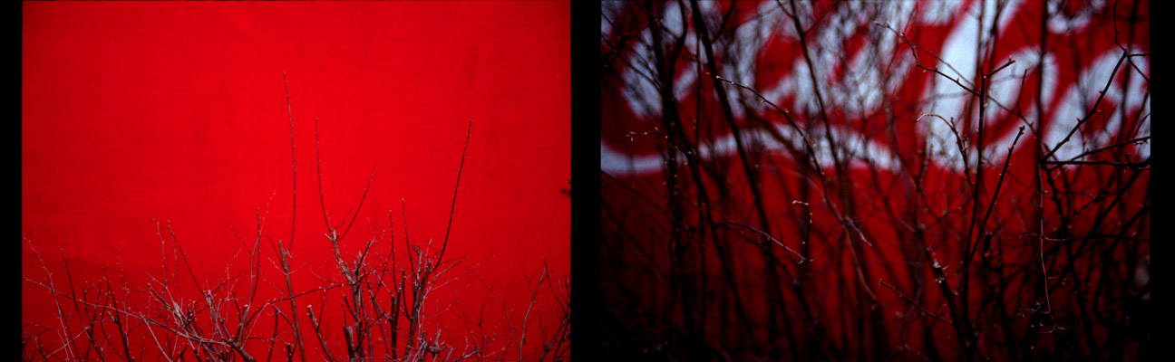 Gabriela Iacob - Urbane