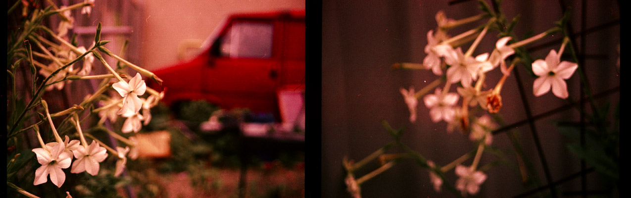 Gabriela Iacob - Urbane