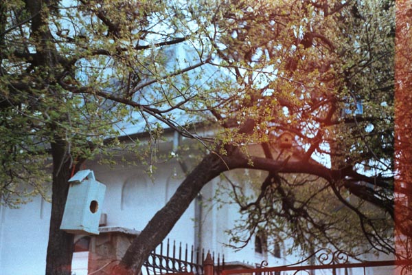 Ilinca Diaconescu - Lentoare