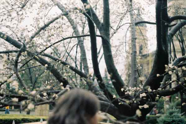 Ilinca Diaconescu - Lentoare