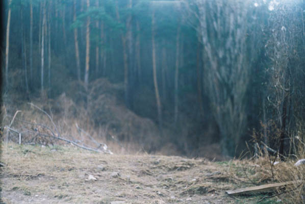 Ilinca Diaconescu - Lentoare