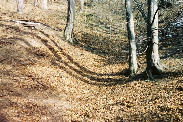 Ilinca Diaconescu - Lentoare