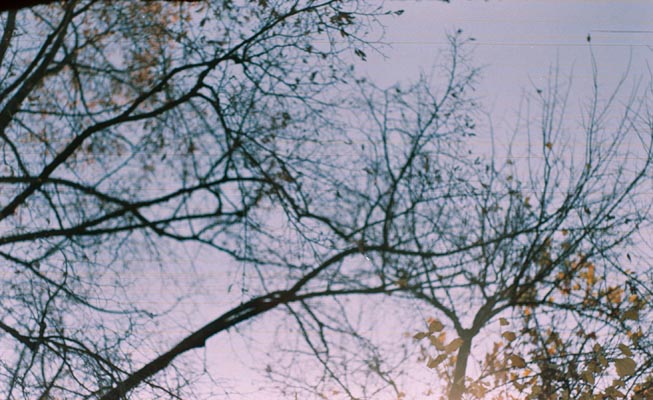 Ilinca Diaconescu - Lentoare