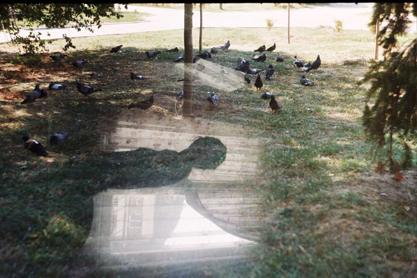 Ilinca Diaconescu - Free your home!