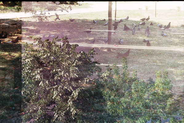 Ilinca Diaconescu - Free your home!