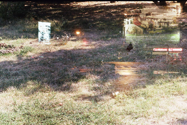 Ilinca Diaconescu - Free your home!