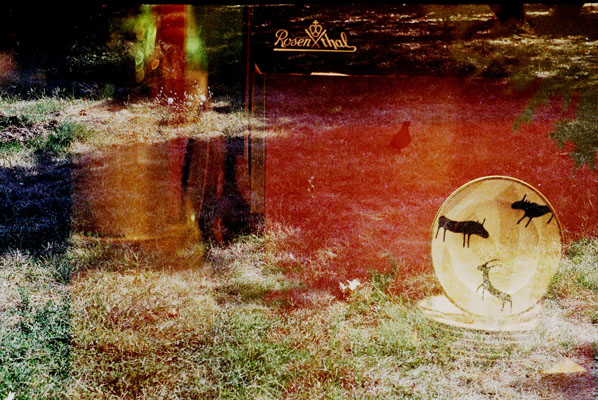 Ilinca Diaconescu - Free your home!