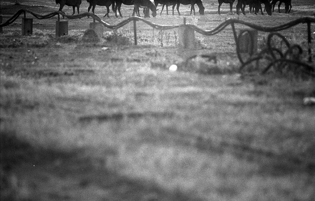 Ioana Alexe - Locuri uitate