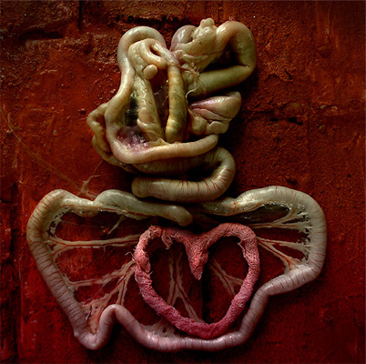 Laura Iancu - Project Utopia