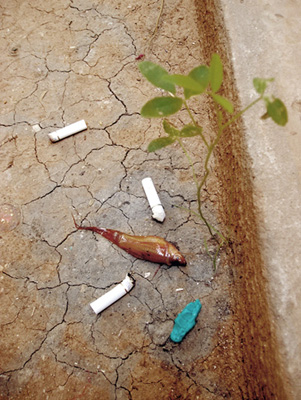 Laura Iancu - Project Utopia