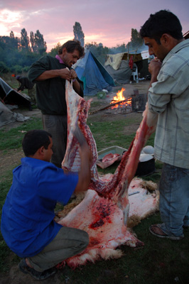 Luiza Puiu - Viata de nomad