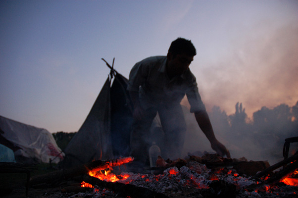 Luiza Puiu - Viata de nomad