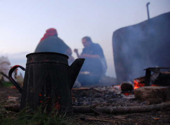 Luiza Puiu - Viata de nomad