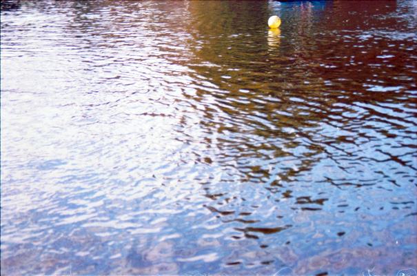 mihai e acolo! - ceva e acolo!