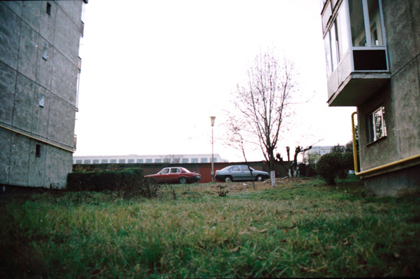 mihai e acolo! - ceva e acolo!