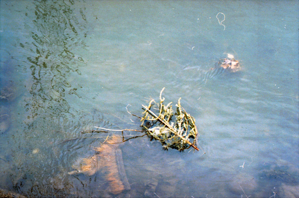 mihai e acolo! - luni, de la scoala