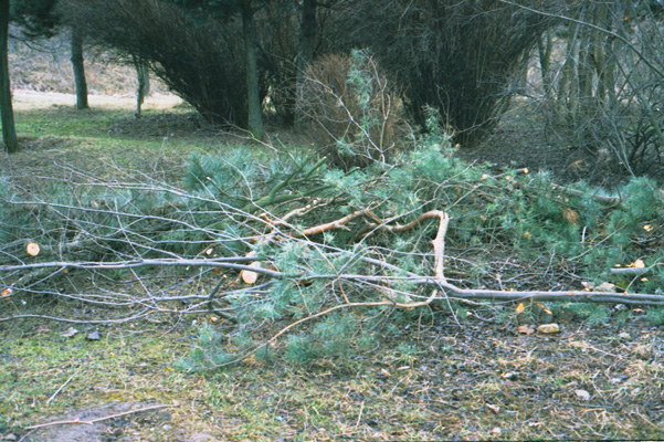mihai e acolo! - luni, de la scoala