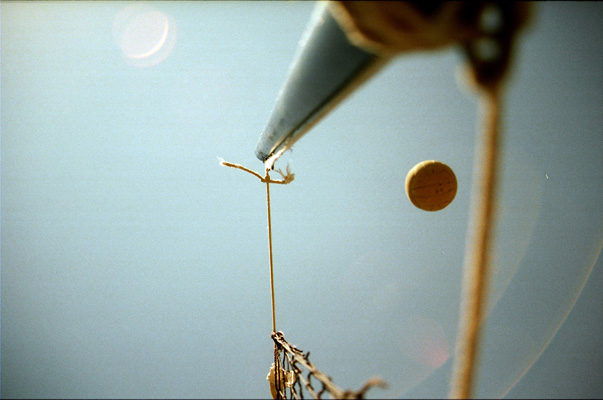 mihai e acolo! - ceva e acolo!