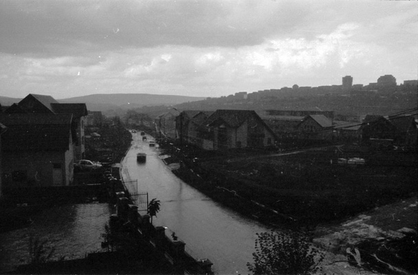 Mihai e acolo - In-tam-pla-tor