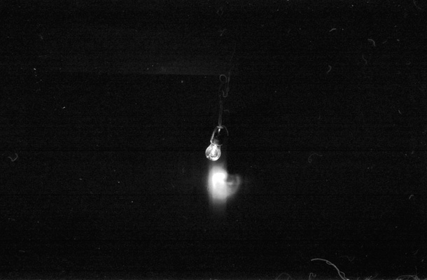 Mihai e acolo - In-tam-pla-tor