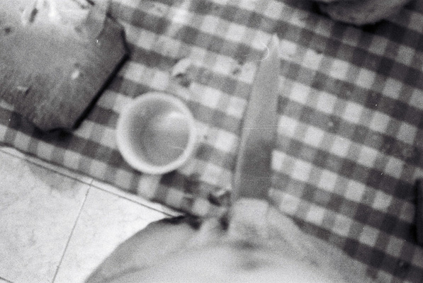 Mihai e acolo - In-tam-pla-tor