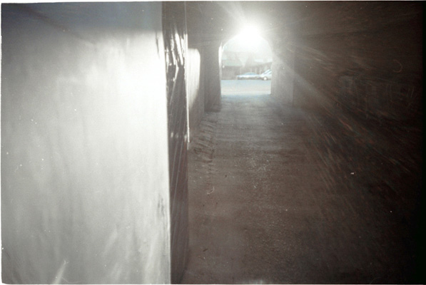 Mona Miclea - discontinuitate