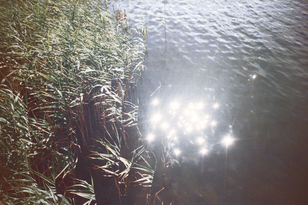 Mona Miclea - discontinuitate