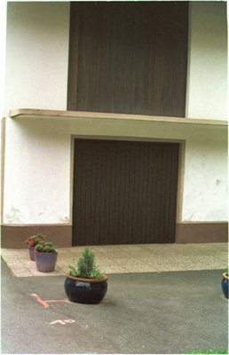 Mona Miclea - discontinuitate