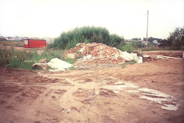 Mona Miclea - discontinuitate