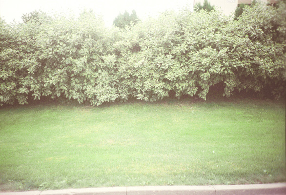 Mona Miclea - discontinuitate