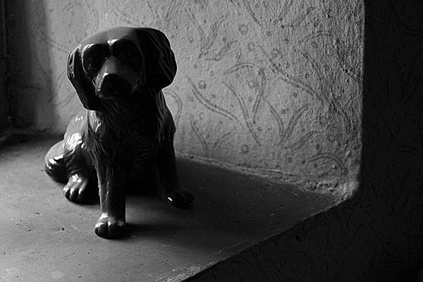 Radu Iordache - Casa cu lumina