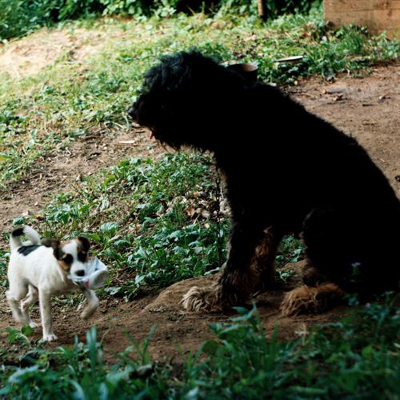 Tudor Ene - Comportamentul vostru