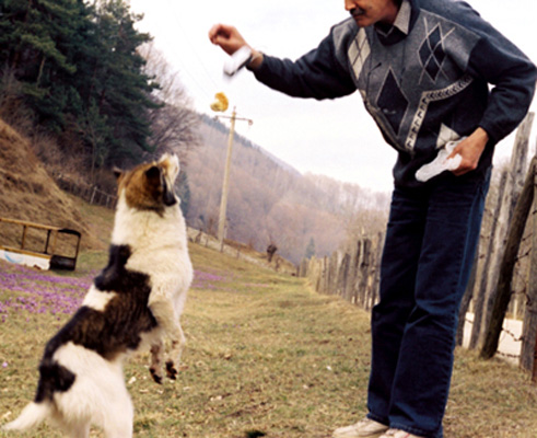 Tudor Ene - This morning i woke up in a curfew oh god i was a prisoneer too